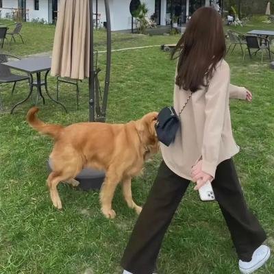 辣妈辣妹2